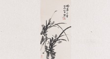 药物咨询师招生简章